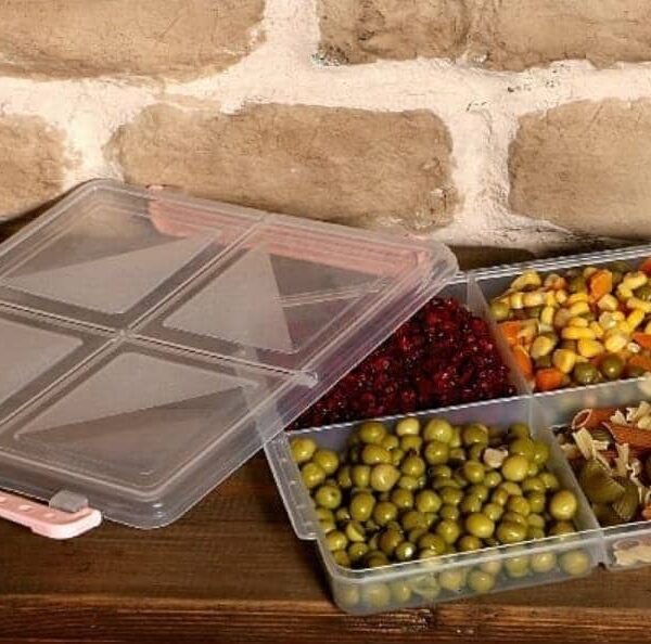 ظرف فریزری 4خانه بزرگ 24 ع کد1094